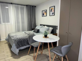 Cómodo departamento en Santiago